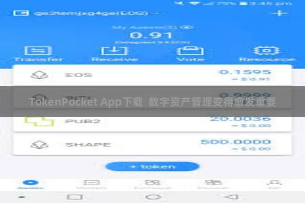 TokenPocket App下载 数字资产管理变得愈发重要