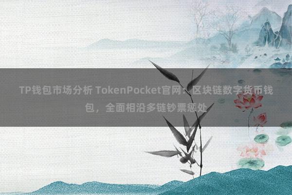 TP钱包市场分析 TokenPocket官网：区块链数字货币钱包，全面相沿多链钞票惩处