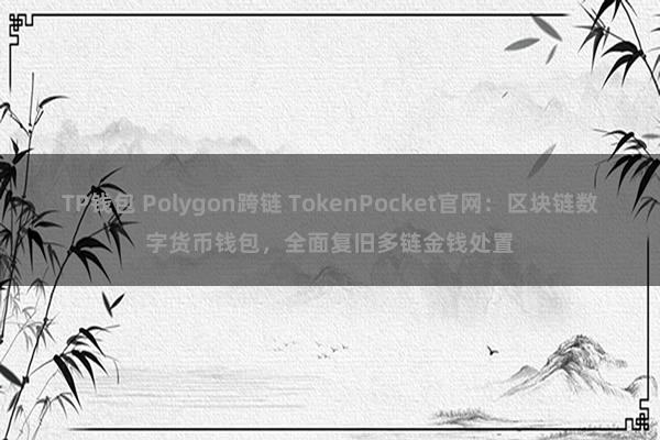 TP钱包 Polygon跨链 TokenPocket官网：区块链数字货币钱包，全面复旧多链金钱处置