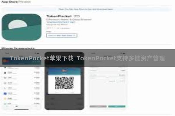 TokenPocket苹果下载  TokenPocket支持多链资产管理